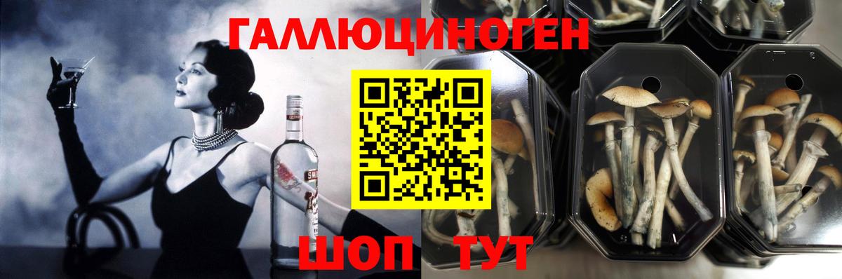 Ессентуки  Галлюциногенные грибы мухоморы  Вход с VPN  Галлюциногенные грибы прущие грибы 