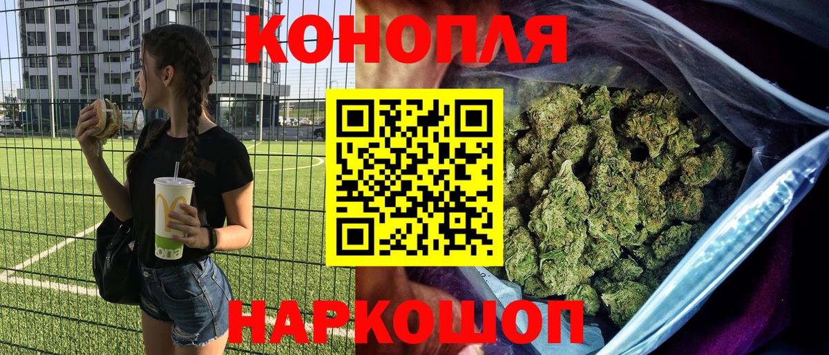 Канабис сатива Ессентуки